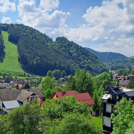Apartman Aura Palenicy *